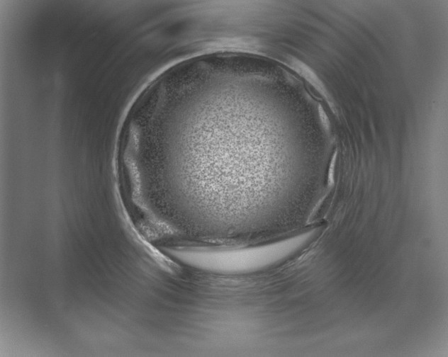 X0000071341339200607071648