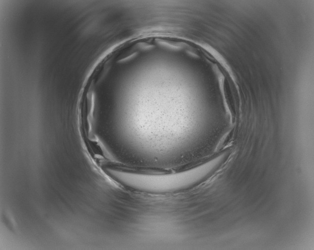 X0000071341341200607071648