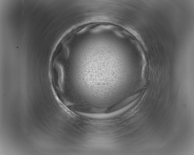 X0000071341342200607071648