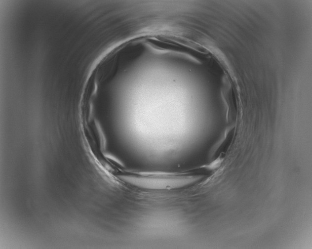 X0000071341344200607071648