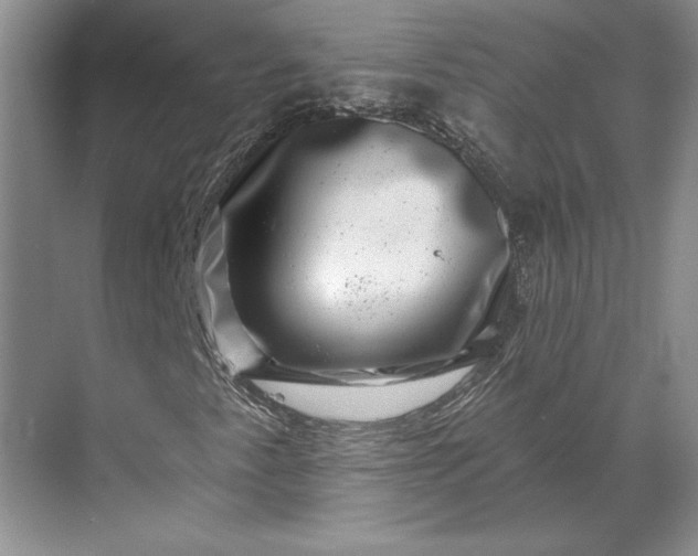 X0000071341345200607071647