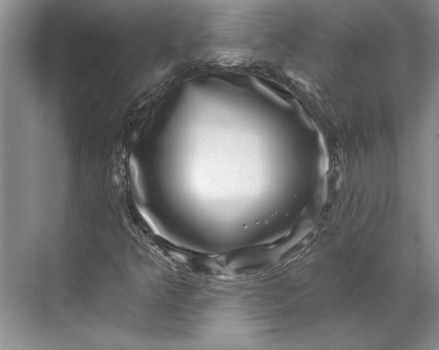 X0000071341349200607071647