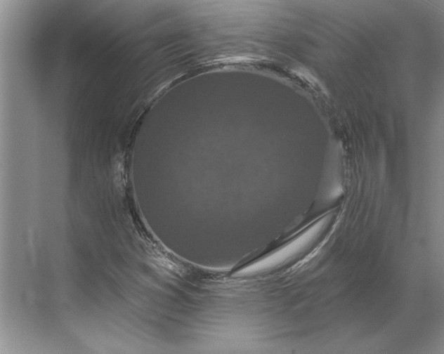 X0000071341353200607071647