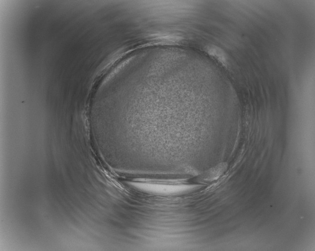 X0000071341354200607071647