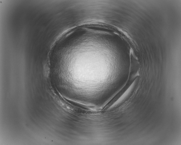 X0000071341363200607071647