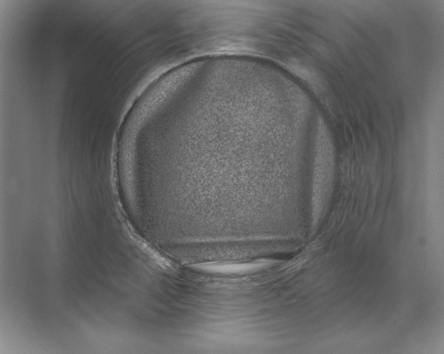 X0000071341374200607071647