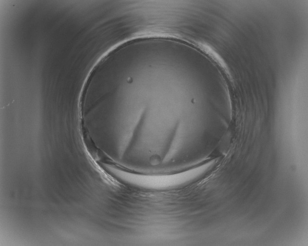 X0000071341380200607071647