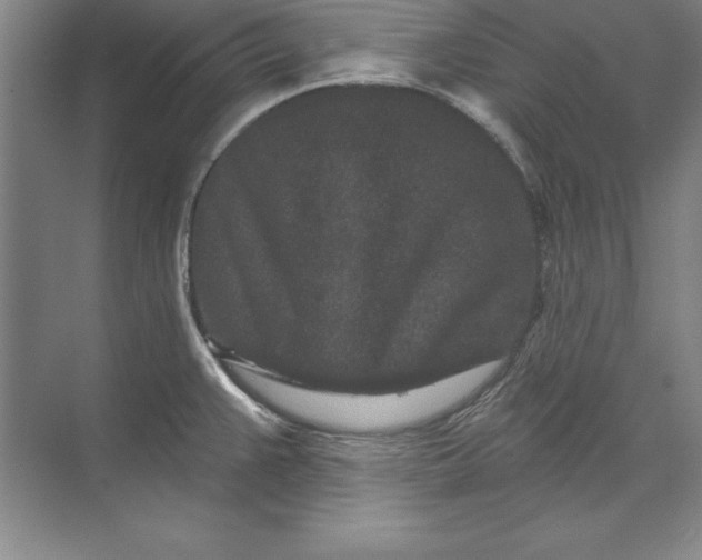 X0000071341383200607071647