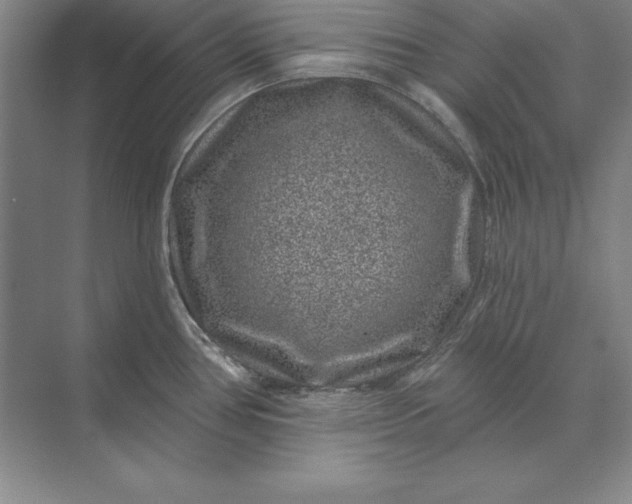 X0000071341386200607071647