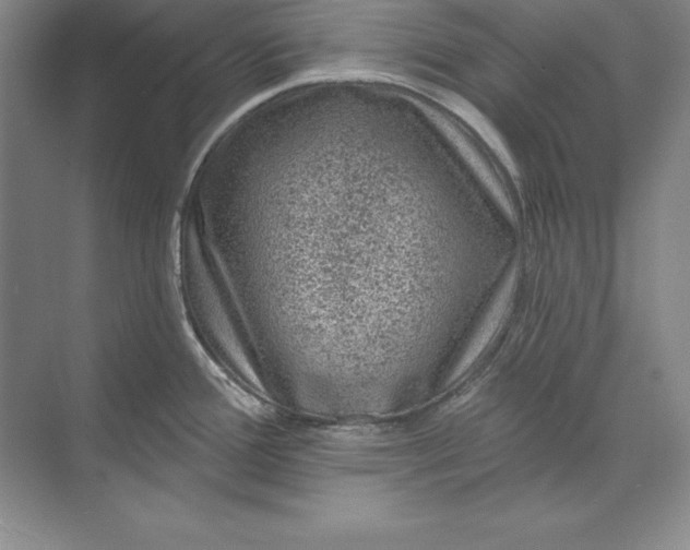 X0000071341388200607071647