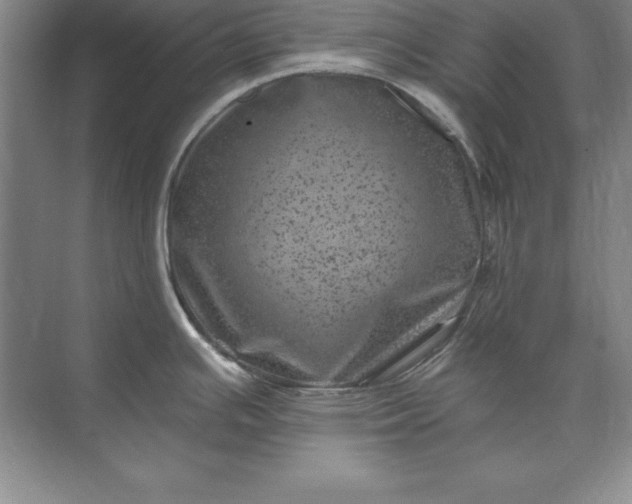 X0000071341391200607071647