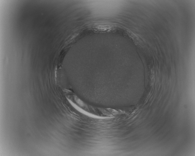X0000071341394200607071646