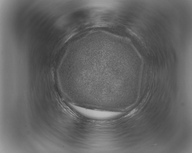 X0000071341401200607071646