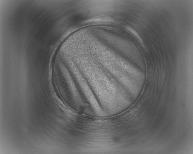 X0000071341419200607071646