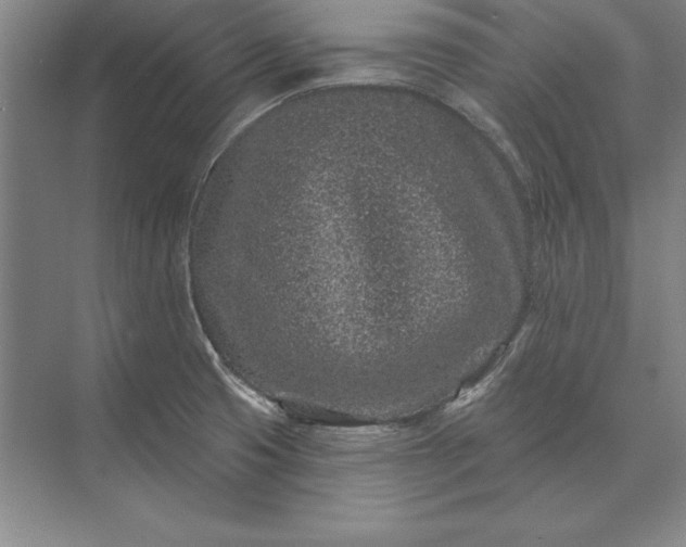 X0000071341425200607071646