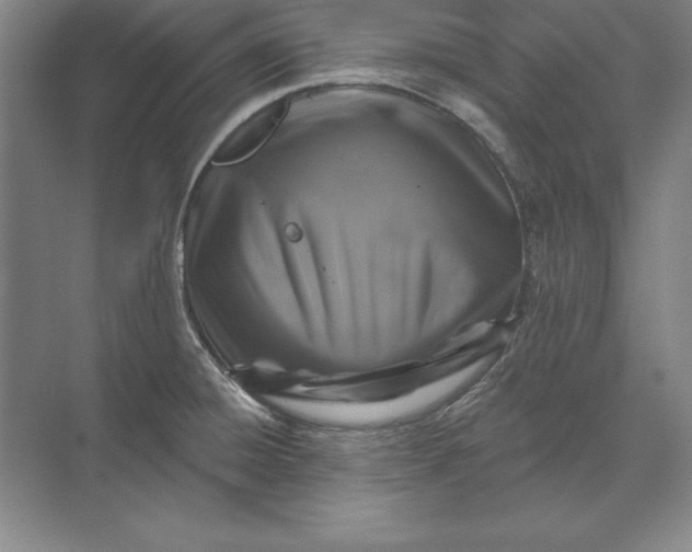 X0000071341428200607071646