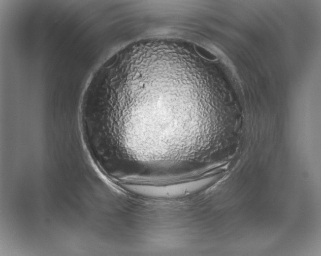 X0000071341429200607071646