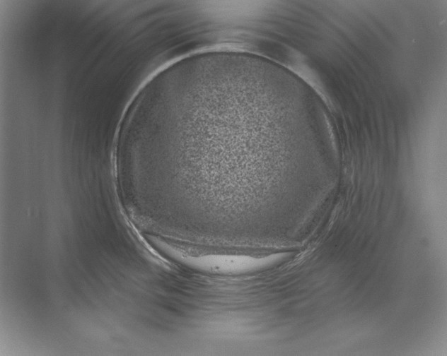 X0000071341436200607071647