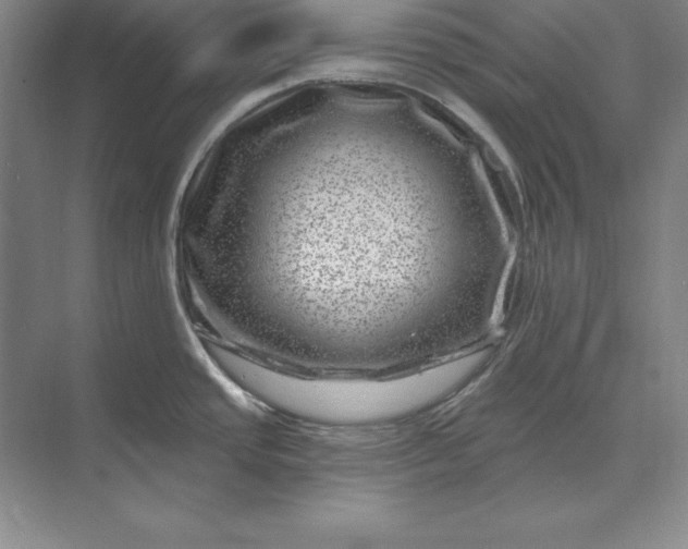 X0000071341437200607071647