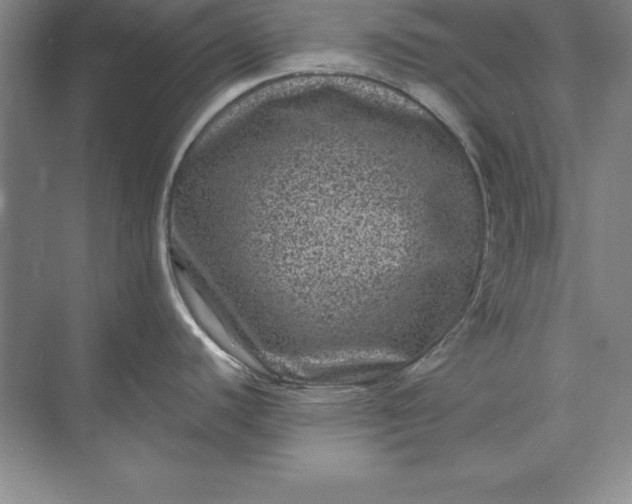 X0000071341440200607071647