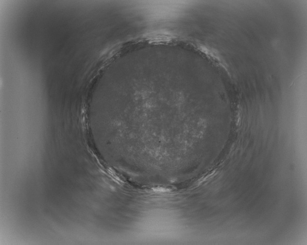 X0000071341445200607071646