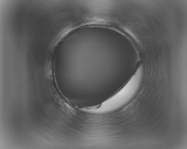 X0000071341455200607071646