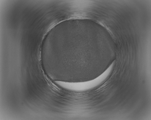 X0000071341459200607071646
