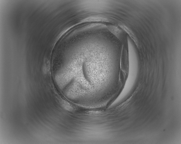 X0000071341465200607071645