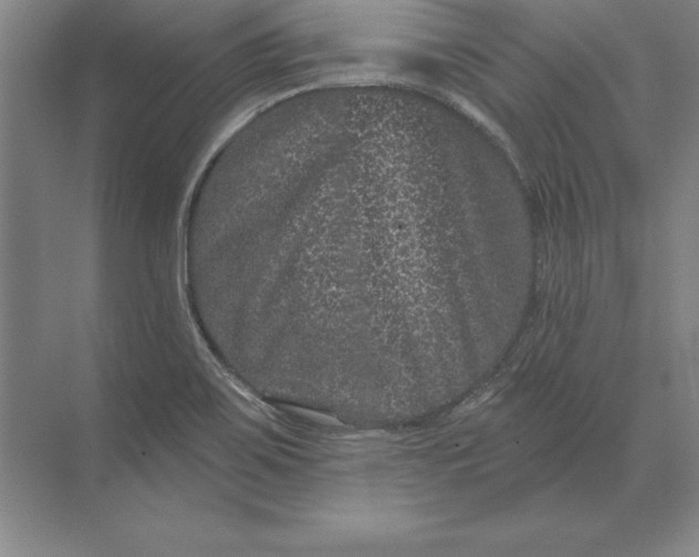 X0000071341467200607071645