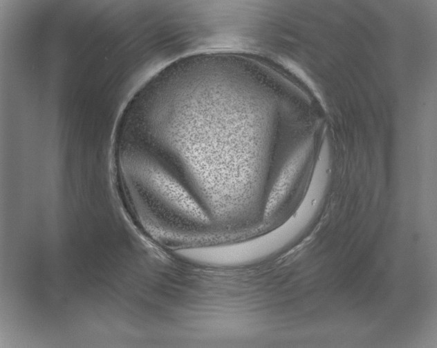 X0000071341469200607071645