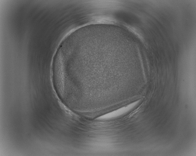 X0000071341471200607071645