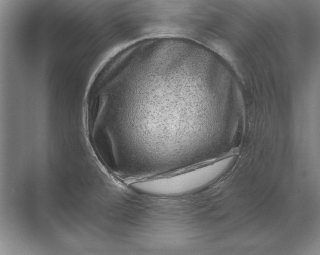 X0000071341472200607071645