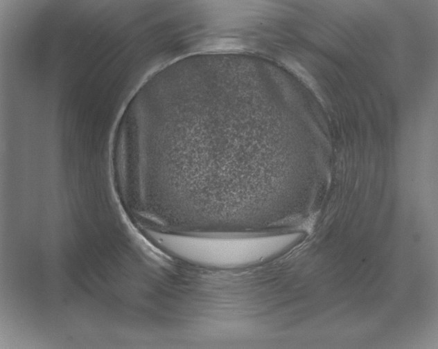 X0000071341475200607071645