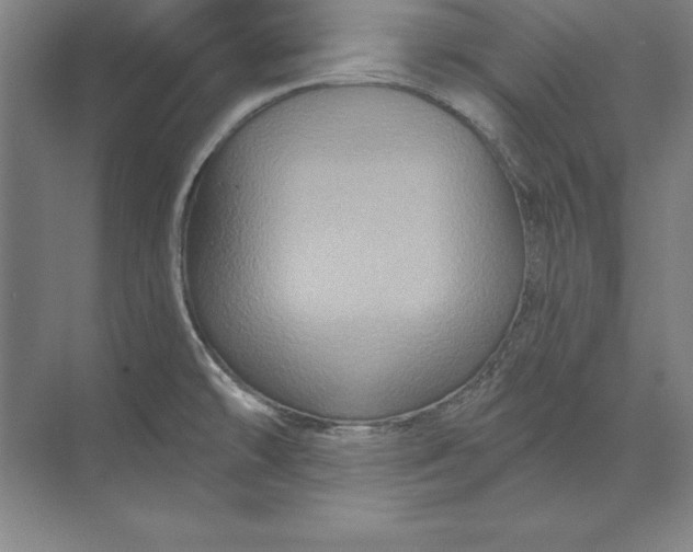 X0000071341478200607071645