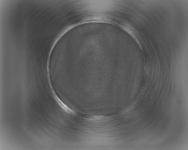 X0000071341482200607071645