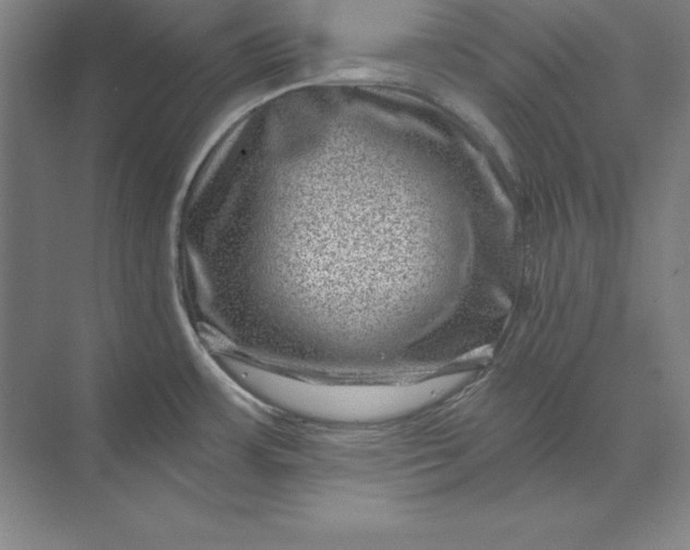 X0000071341483200607071645