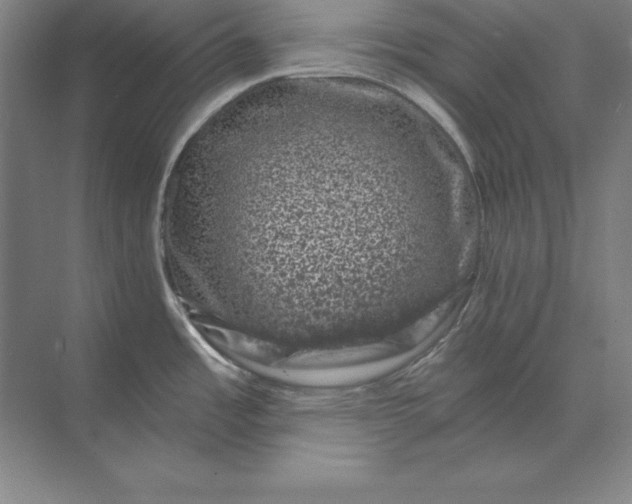X0000071341485200607071645