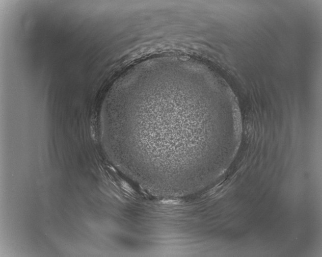 X0000071341490200607071644