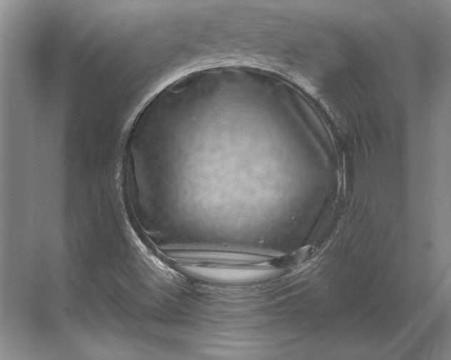 X0000071341500200607071644
