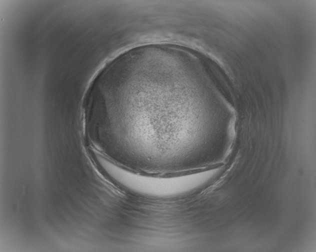 X0000071341509200607071645