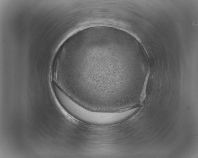 X0000071341523200607071645