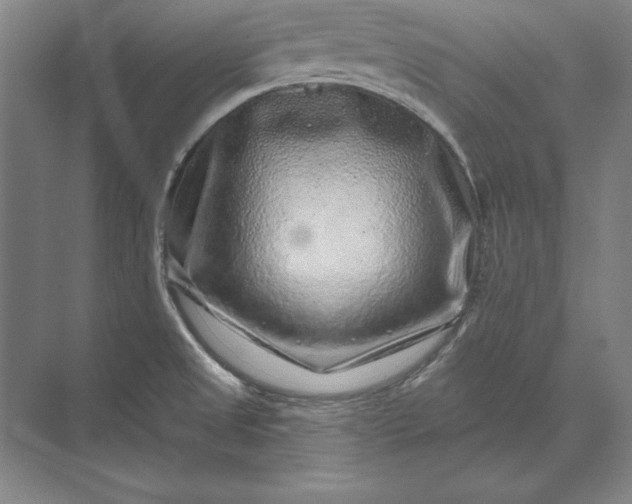 X0000071341525200607071645