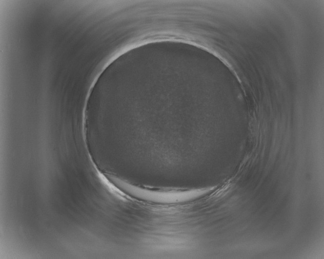 X0000071341535200607071645