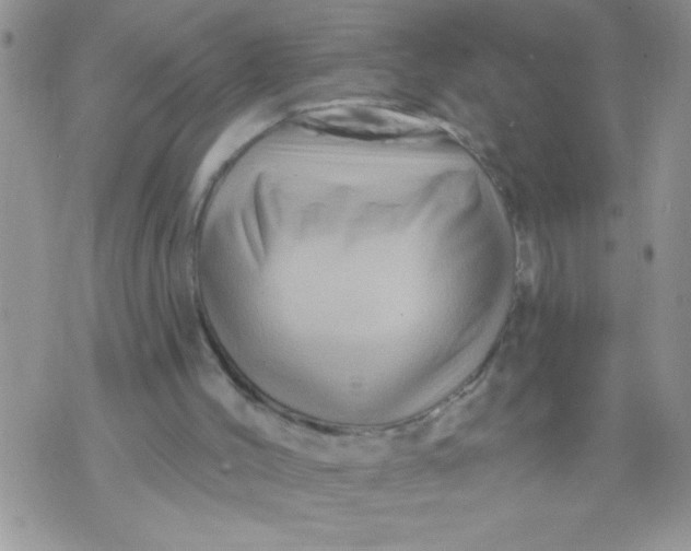 X0000071340004200607141942