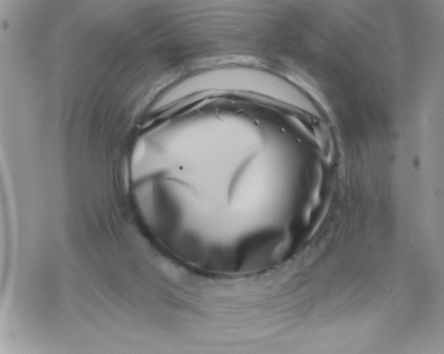 X0000071340013200607141942