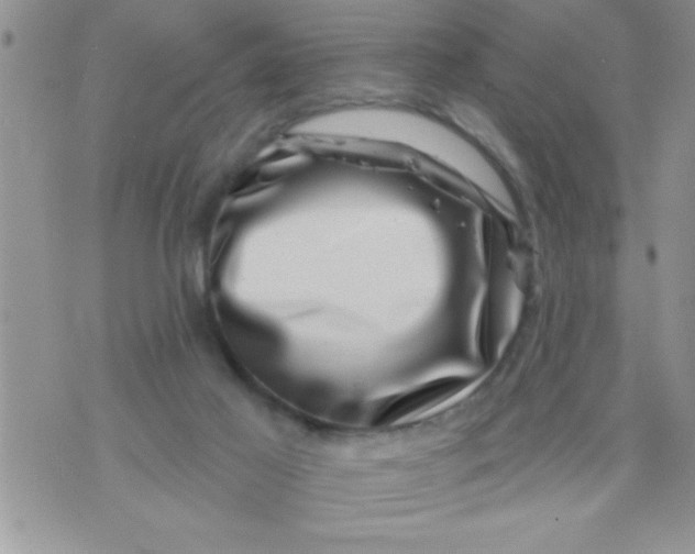 X0000071340021200607141942