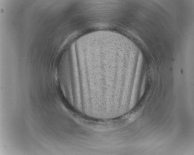 X0000071340024200607141942