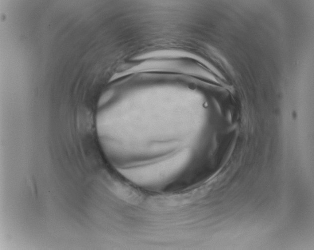 X0000071340025200607141942