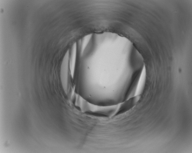 X0000071340037200607141941