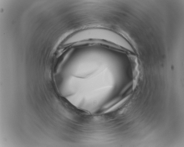 X0000071340060200607141941